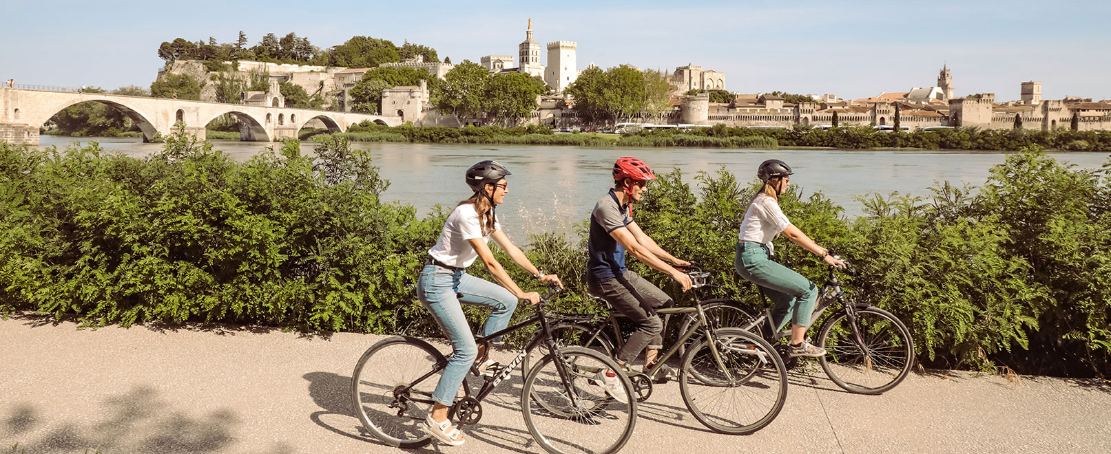 Vélo à Avignon © Hocquel